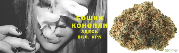 PSILOCYBIN Богородицк