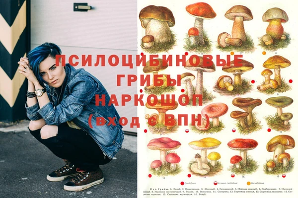 дмт Михайловка
