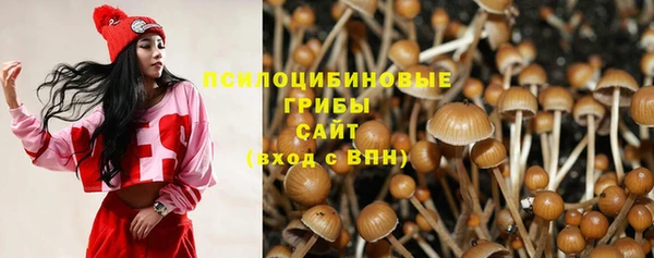 PSILOCYBIN Богородицк