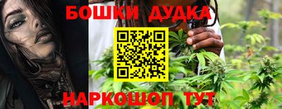 стафф Гай