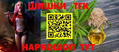 стафф Гай