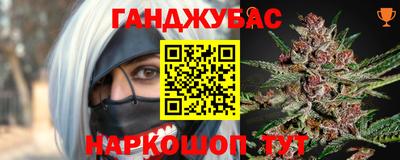 гидра Гатчина
