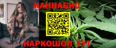 стафф Гай