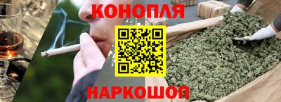 стафф Гай