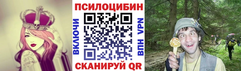 Псилоцибиновые грибы MAGIC MUSHROOMS  ОМГ ОМГ ССЫЛКА  Улан-Удэ  магазин продажи наркотиков 