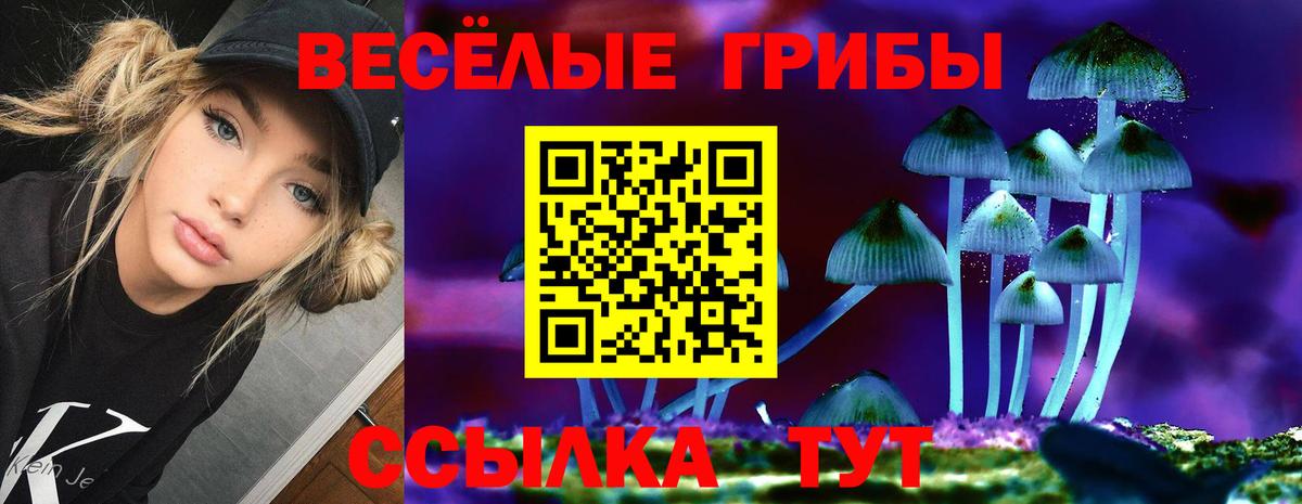 Галлюциногенные грибы GOLDEN TEACHER Улан-Удэ