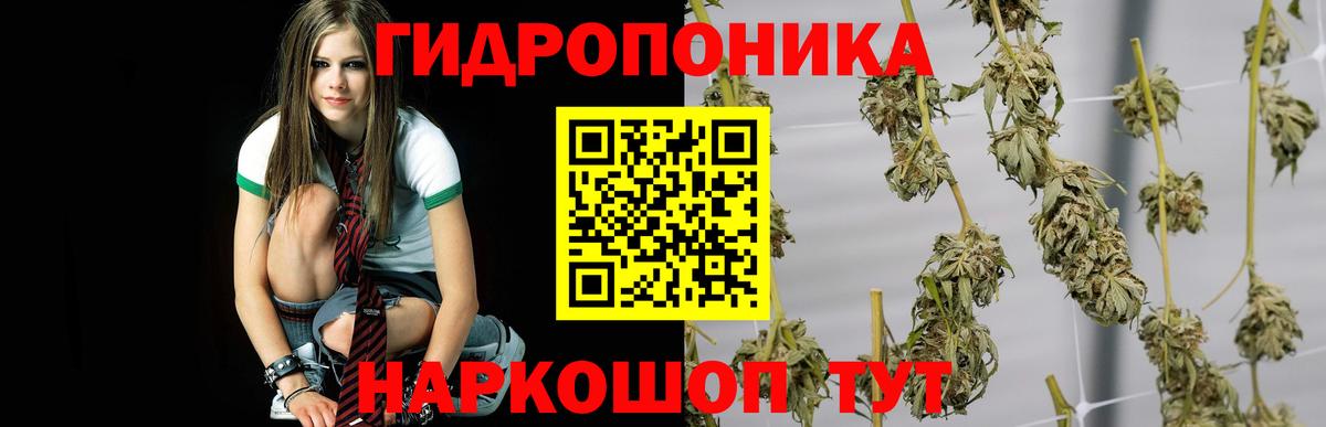 МАРИХУАНА AK-47 Улан-Удэ